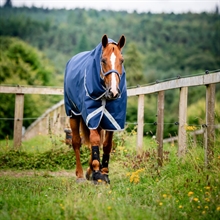 Horseware Amigo 1200D Plus Turnout 250 gram